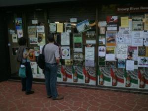 Spoilt for choice. Photo by Billy Quinn.