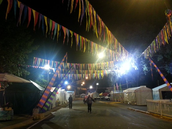 The iconic National Folk Festival bunting