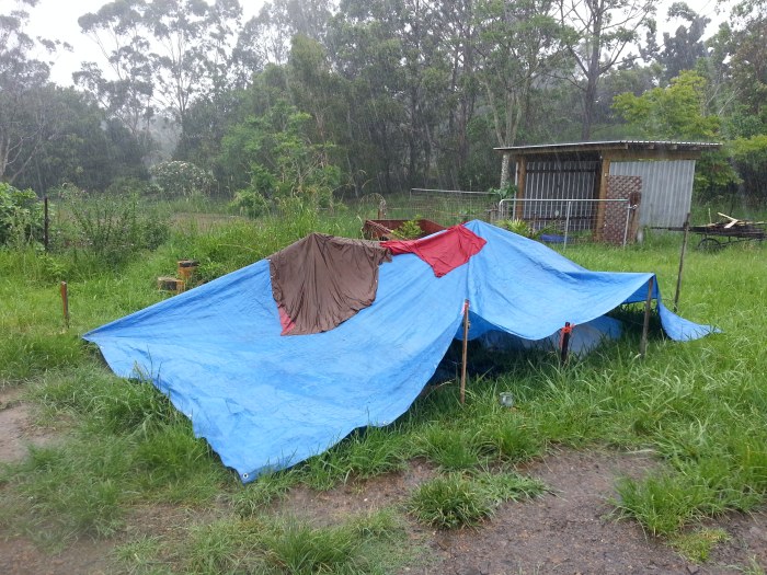 Writing on the road: it's in tents